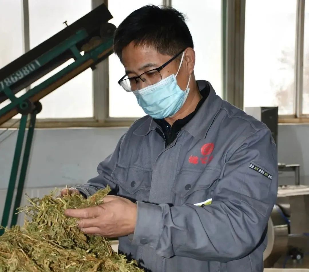 【向下扎根，向上生長】孫吉民：20年堅(jiān)持做一件事